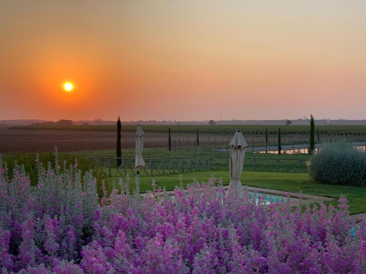 Agriturismo Piani Della Marina Монтальто-ди-Кастро Экстерьер фото